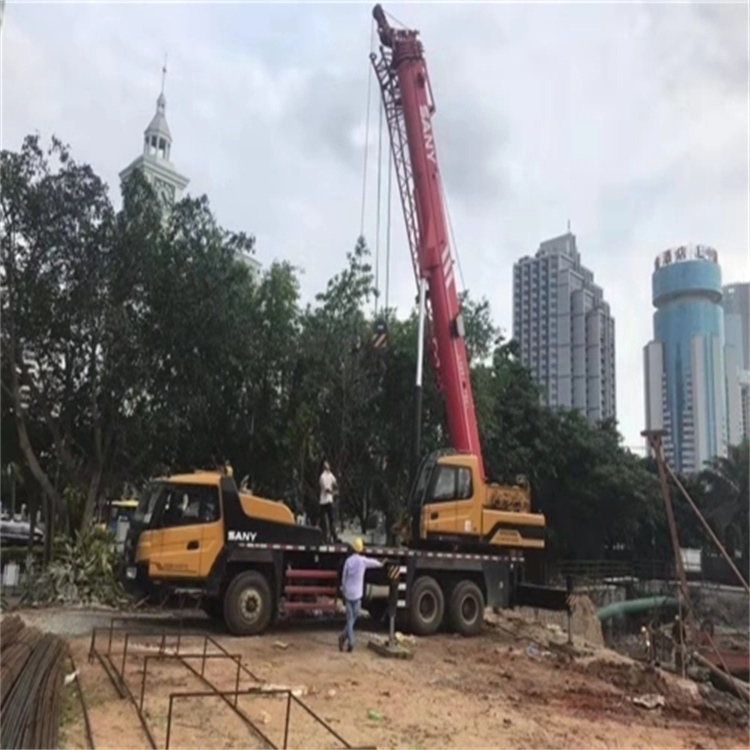 南靖吊车吊大树的几种方法